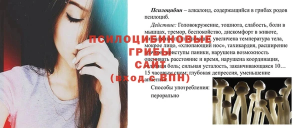 герыч Снежинск
