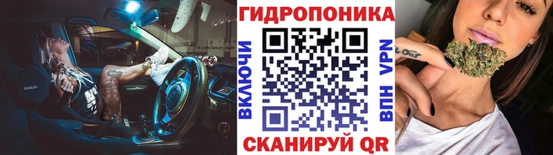 Каннабис план  omg tor  Бабаево 